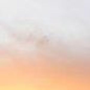 Meet your Posher, Martha